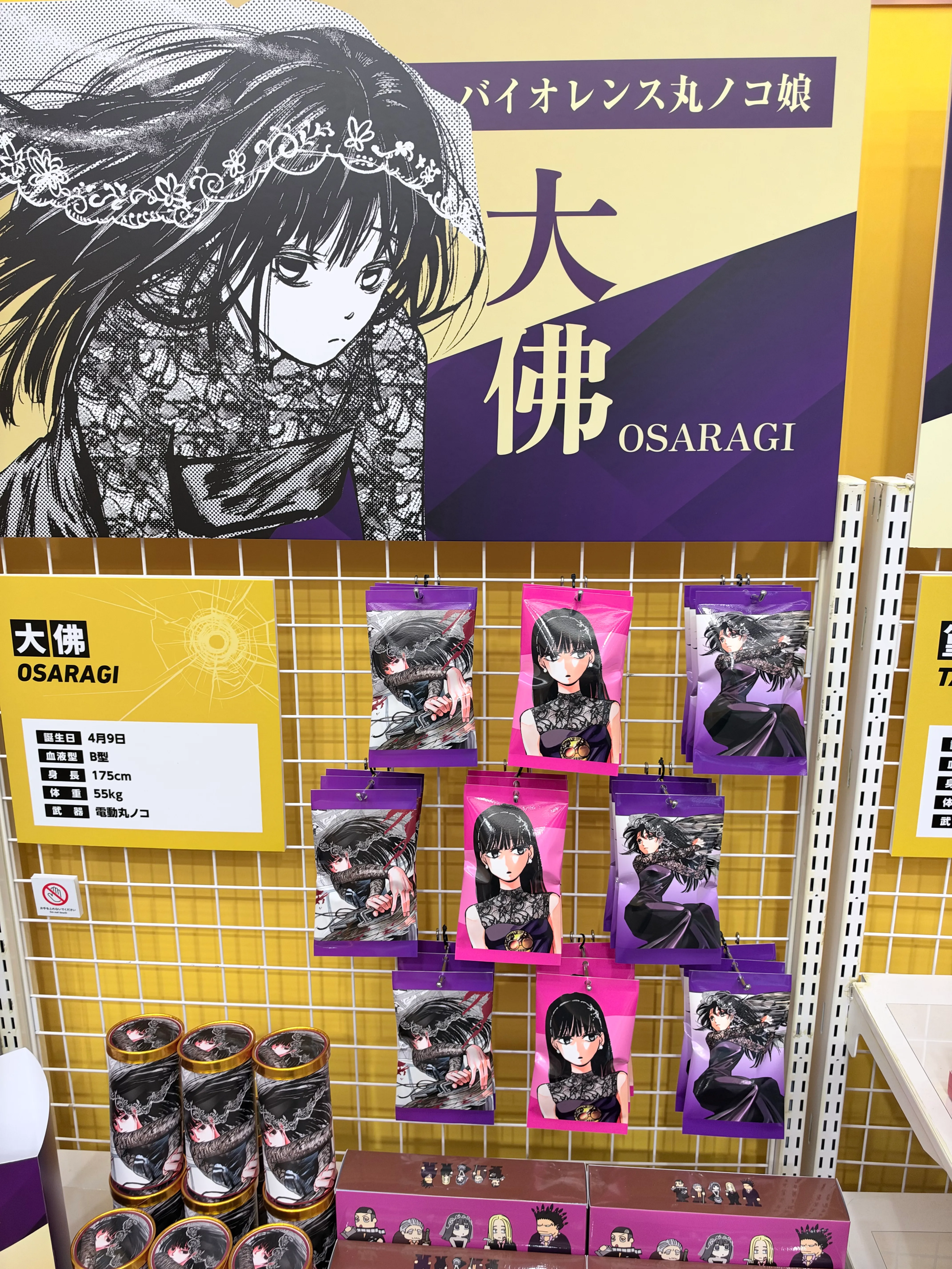 阪本日常特展